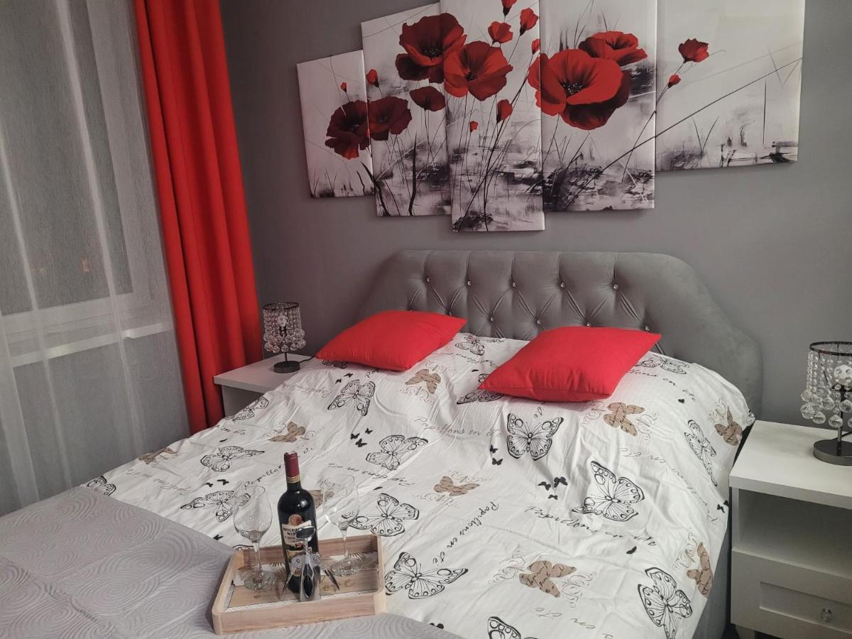 Apartment Apertment Wenus